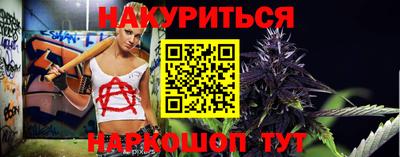 крисы Пенза