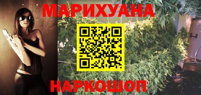 крисы Пенза