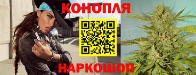 крисы Пенза