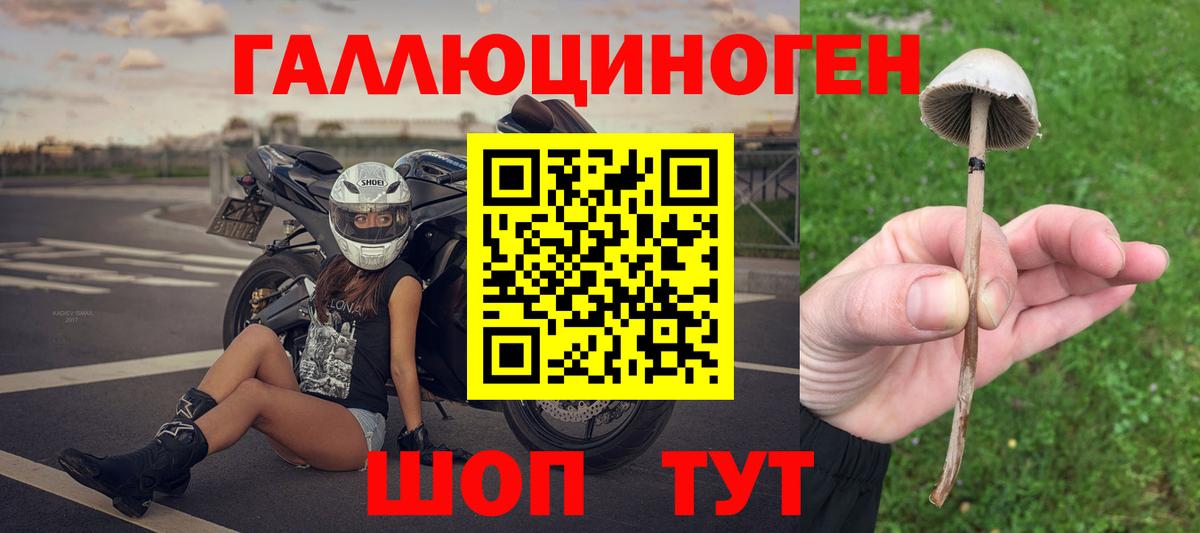 Галлюциногенные грибы Cubensis  Вход с VPN  Ростов-на-Дону  Галлюциногенные грибы Cubensis 