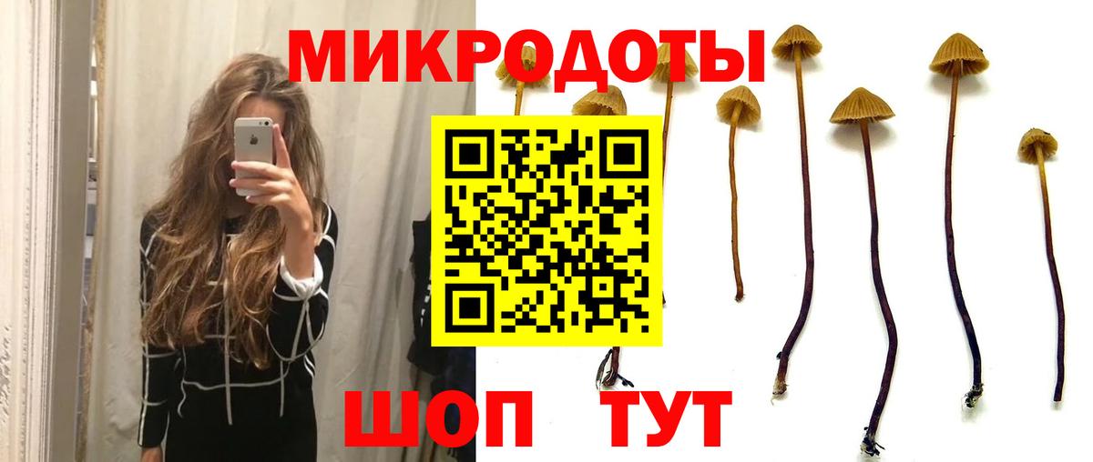 Галлюциногенные грибы прущие грибы Ростов-на-Дону